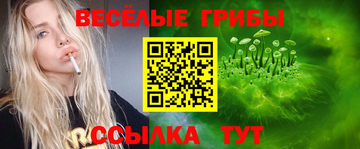 Галлюциногенные грибы MAGIC MUSHROOMS Железногорск