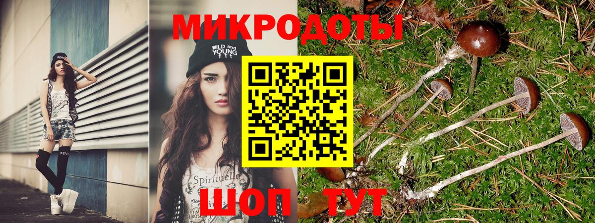 Псилоцибиновые грибы MAGIC MUSHROOMS  Вход с VPN  как найти закладки  Железногорск 