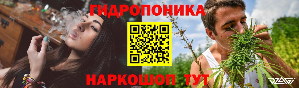 Шишки марихуана марихуана Железногорск